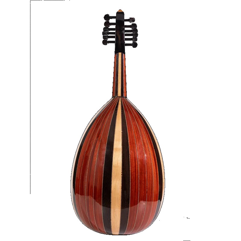 Musical Instrument Oud - OM-1 OUD 12 telli ud müzik